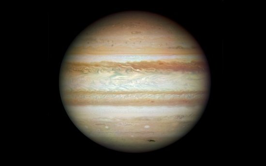49ʿʷ¼202099